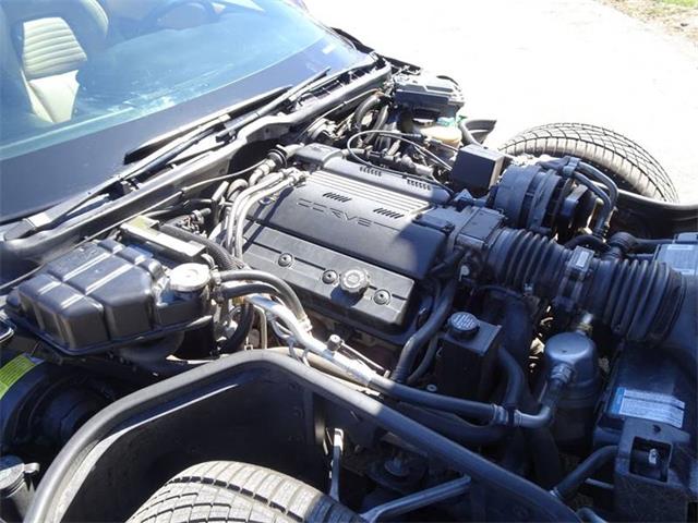 1994 Chevrolet Corvette (CC-1207878) for sale in Hilton, New York