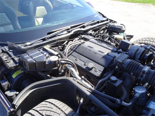 1994 Chevrolet Corvette (CC-1207878) for sale in Hilton, New York