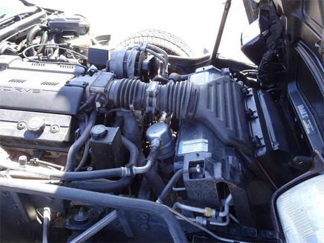 1994 Chevrolet Corvette (CC-1207878) for sale in Hilton, New York