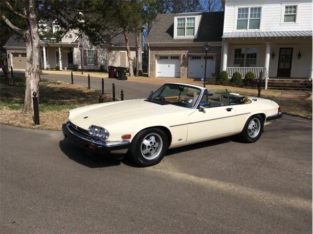 1987 Jaguar XJS (CC-1207900) for sale in Collierville, Tennessee