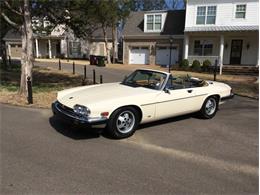 1987 Jaguar XJS (CC-1207900) for sale in Collierville, Tennessee