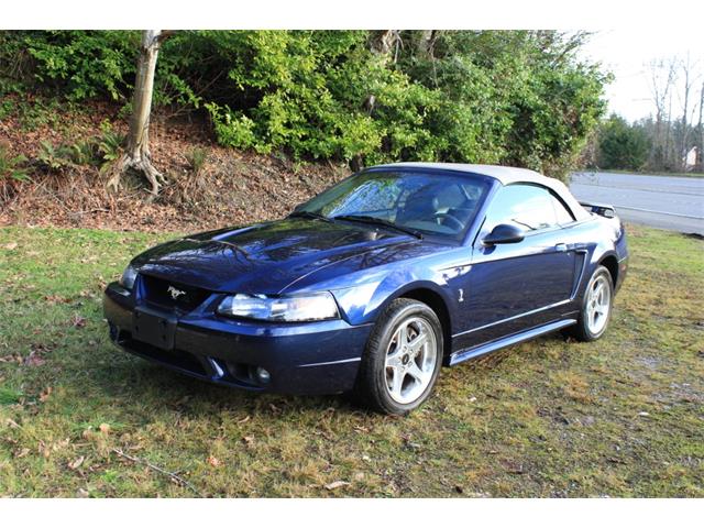2001 Ford Mustang Cobra (CC-1208032) for sale in Tacoma, Washington