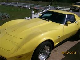 1975 Chevrolet Corvette (CC-1200084) for sale in Cadillac, Michigan
