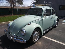 1967 Volkswagen Beetle (CC-1208451) for sale in bend, Oregon
