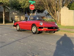 1986 Alfa Romeo Spider (CC-1208916) for sale in Dallas, Texas
