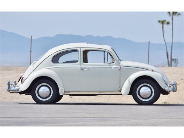 1964 Volkswagen Beetle (CC-1209025) for sale in Los Angeles, California