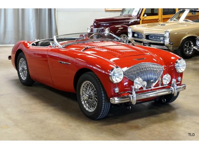 1956 Austin-Healey 100-4 (CC-1211058) for sale in Chicago, Illinois