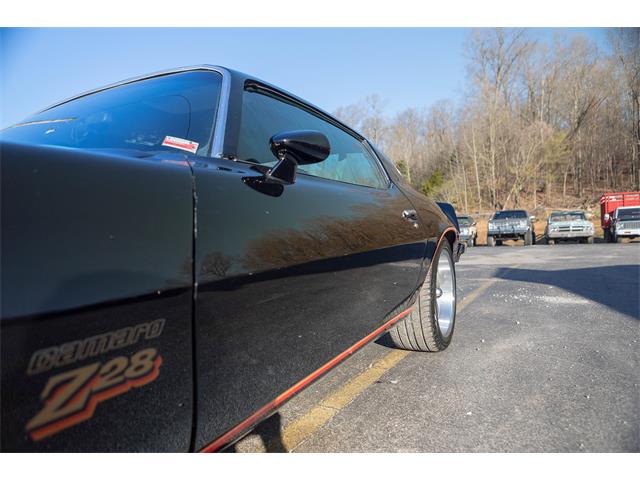 1977 Chevrolet Camaro Z28 (CC-1211598) for sale in DONGOLA, Illinois