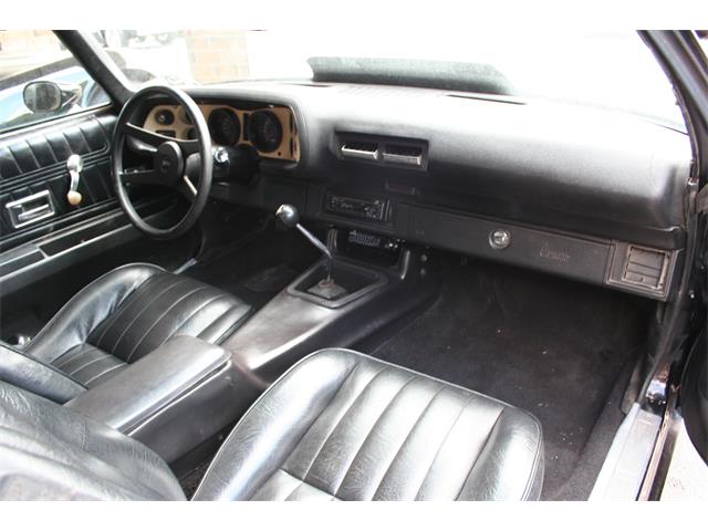 1977 Chevrolet Camaro Z28 (CC-1211598) for sale in DONGOLA, Illinois
