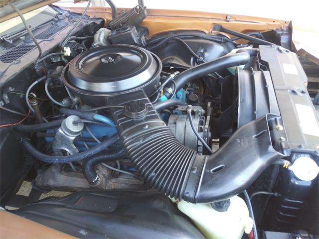 1979 Chevrolet Camaro Z28 (CC-1211869) for sale in Bend, Oregon