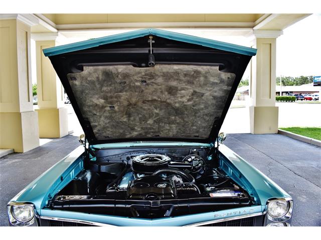 1967 Pontiac LeMans (CC-1212342) for sale in Lakeland, Florida