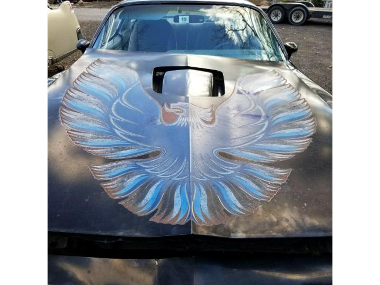 1979 Pontiac Firebird Trans Am for Sale | ClassicCars.com | CC-1210242