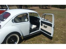 1973 Volkswagen Beetle (CC-1210259) for sale in Cadillac, Michigan