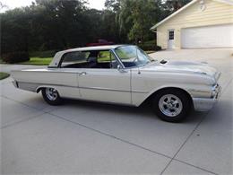 1961 Ford Galaxie (CC-1212801) for sale in Sarasota, Florida