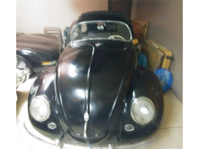 1956 Volkswagen Beetle (CC-1214565) for sale in Hanover, Massachusetts
