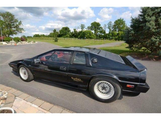 1987 Lotus Esprit (CC-1215148) for sale in Cadillac, Michigan
