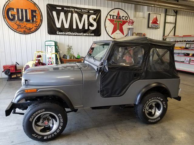 1979 Jeep Wrangler (CC-1215187) for sale in Upper Sandusky, Ohio