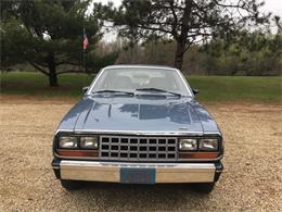 1983 AMC Eagle (CC-1215226) for sale in Neshkoro, Wisconsin