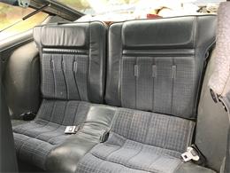 1983 AMC Eagle (CC-1215226) for sale in Neshkoro, Wisconsin