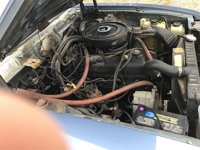 1983 AMC Eagle (CC-1215226) for sale in Neshkoro, Wisconsin