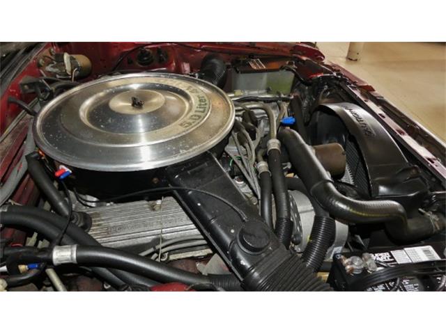 1984 Ford Mustang (CC-1215618) for sale in Columbus, Ohio