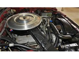 1984 Ford Mustang (CC-1215618) for sale in Columbus, Ohio