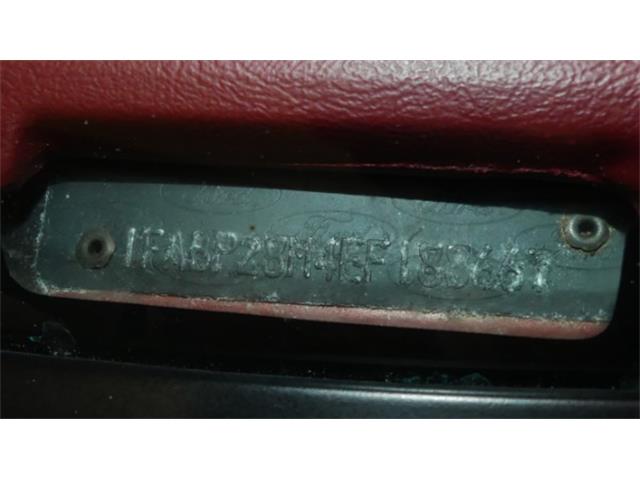 1984 Ford Mustang (CC-1215618) for sale in Columbus, Ohio