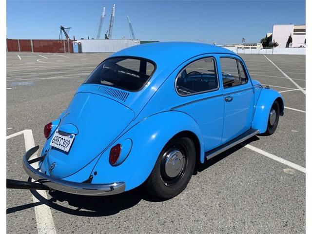 1966 Volkswagen Beetle For Sale Cc 1215798