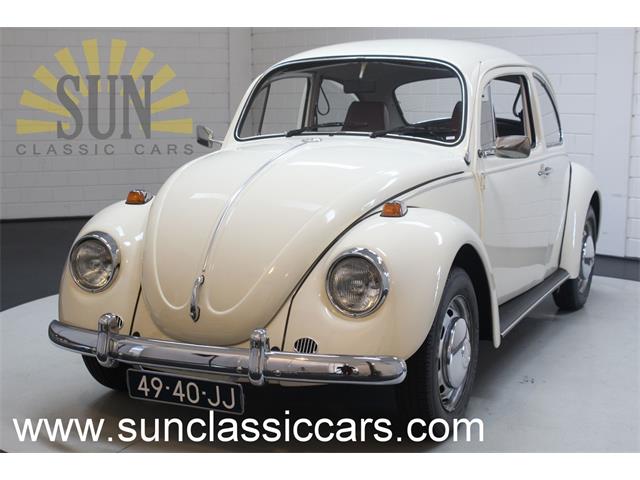 1969 Volkswagen Beetle (CC-1216667) for sale in Waalwijk, noord brabant