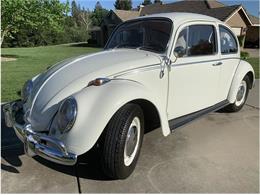 1966 Volkswagen Beetle (CC-1216896) for sale in Roseville, California