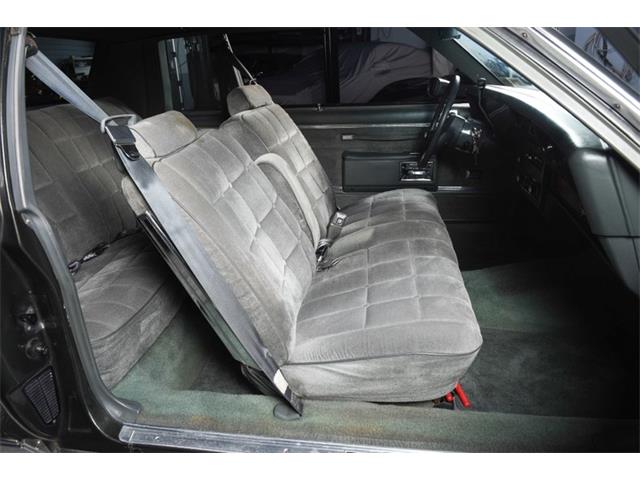 1984 Chevrolet Caprice (CC-1216900) for sale in New Hyde Park, New York