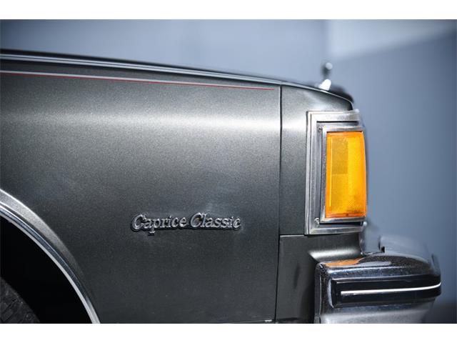 1984 Chevrolet Caprice (CC-1216900) for sale in New Hyde Park, New York