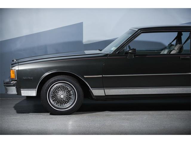 1984 Chevrolet Caprice (CC-1216900) for sale in New Hyde Park, New York