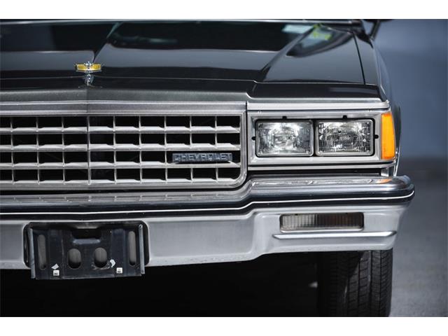 1984 Chevrolet Caprice (CC-1216900) for sale in New Hyde Park, New York