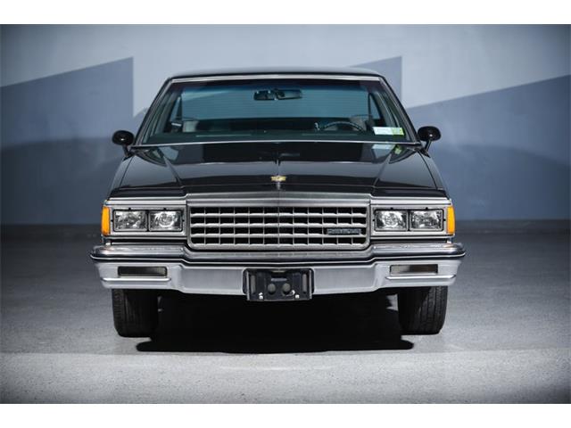 1984 Chevrolet Caprice (CC-1216900) for sale in New Hyde Park, New York