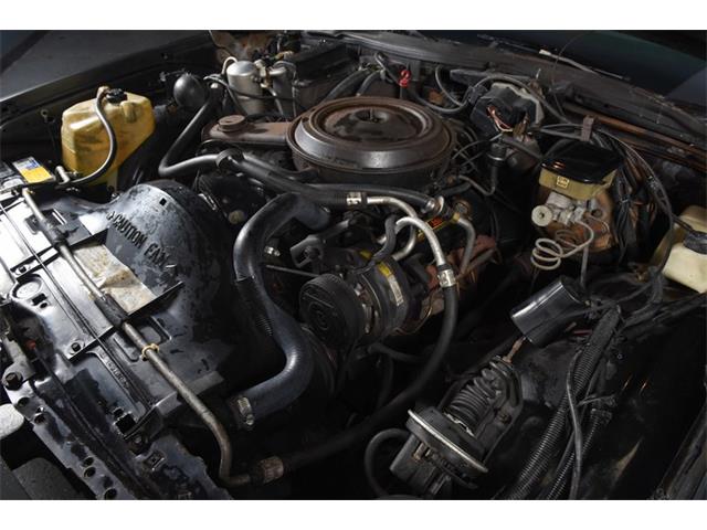 1984 Chevrolet Caprice (CC-1216900) for sale in New Hyde Park, New York