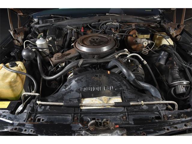 1984 Chevrolet Caprice (CC-1216900) for sale in New Hyde Park, New York