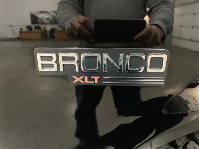 1996 Ford Bronco (CC-1210747) for sale in Holland , Michigan