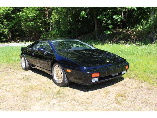 1989 Lotus Esprit (CC-1217587) for sale in Tacoma, Washington