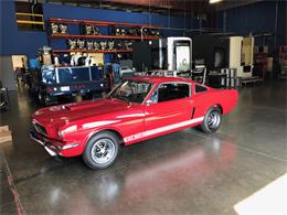1966 Shelby GT350 (CC-1218897) for sale in Napa Valley, California