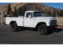 1969 International Truck (CC-1219356) for sale in Hailey, Idaho