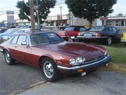 1984 Jaguar XJS (CC-1219590) for sale in Stratford, New Jersey