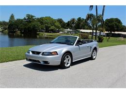 2001 Ford Mustang SVT Cobra (CC-1210968) for sale in Clearwater, Florida