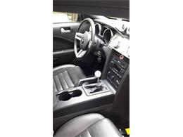 2005 Ford Mustang GT (CC-1221081) for sale in St. Lazare, Quebec