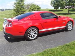 2012 Shelby GT500 (CC-1221123) for sale in Mill Hall, Pennsylvania