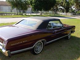 1967 Ford Galaxie (CC-1222886) for sale in Palmetto, Florida