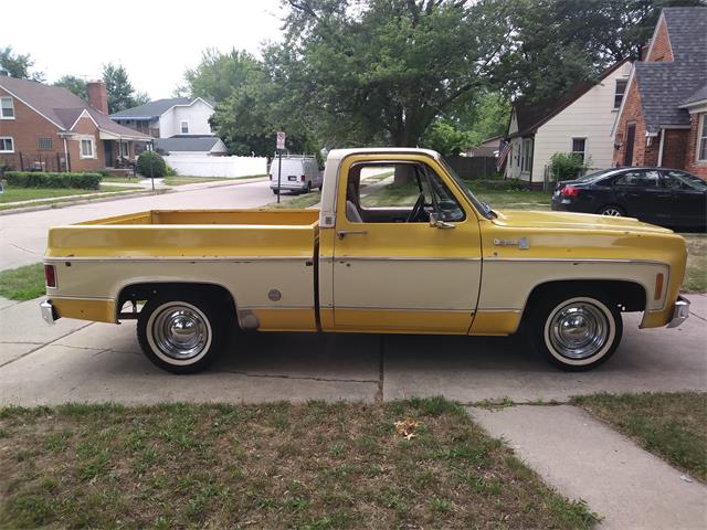 1977 Chevrolet C10 (CC-1222917) for sale in Madison Heights, Michigan