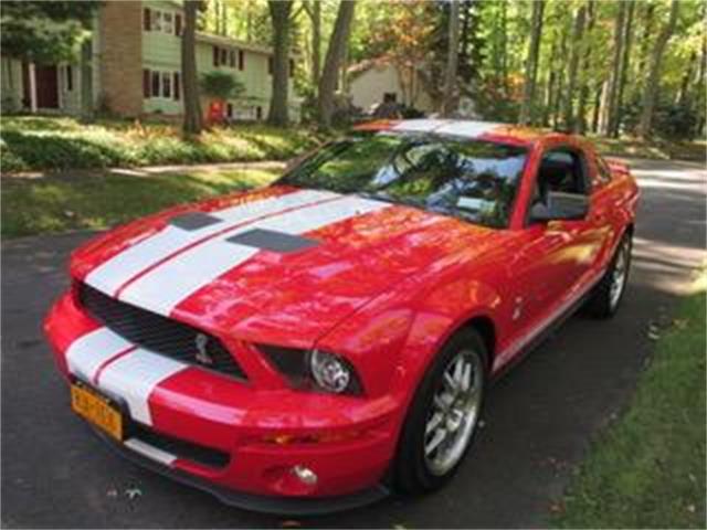 2009 Shelby GT500 (CC-1223412) for sale in Rochester, New York