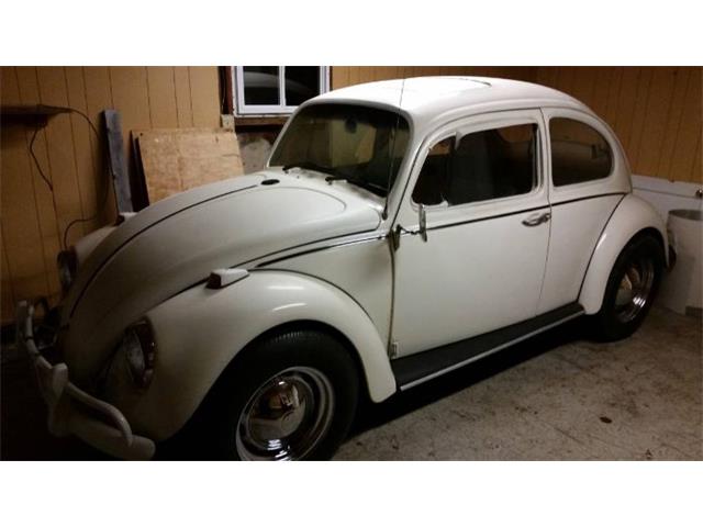 1967 Volkswagen Beetle (CC-1223691) for sale in Cadillac, Michigan