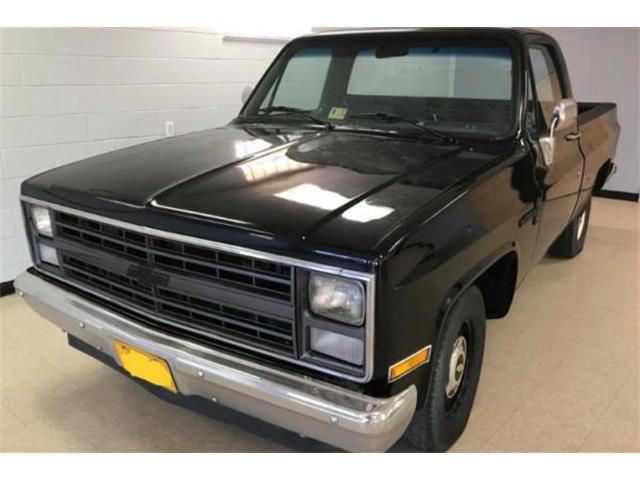 1987 Chevrolet Custom (CC-1223736) for sale in Cadillac, Michigan